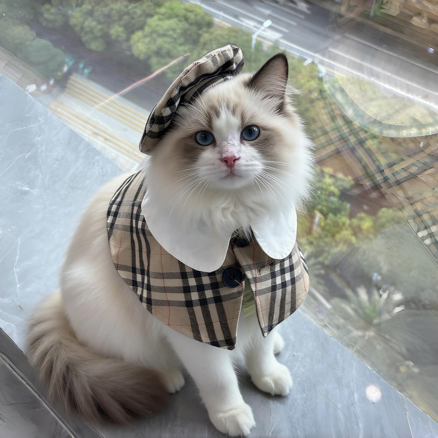 宠物披肩衣服狗狗猫咪春夏薄款体型通用英伦风潮可爱宠物斗篷套装