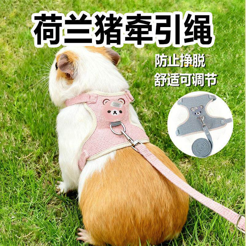 荷兰猪牵引绳专用豚鼠外出神器可爱宠物户外马甲衣服背心小型用品