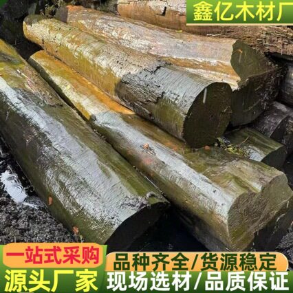 欧洲枫木 原木 树瘤 欧枫河流桌 影木琵琶料工艺品料 水波纹球沙