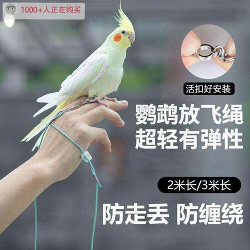 鹦鹉放飞绳户外遛鸟牵引弹力绳超轻不伤脚训练绳虎皮牡丹玄凤脚环