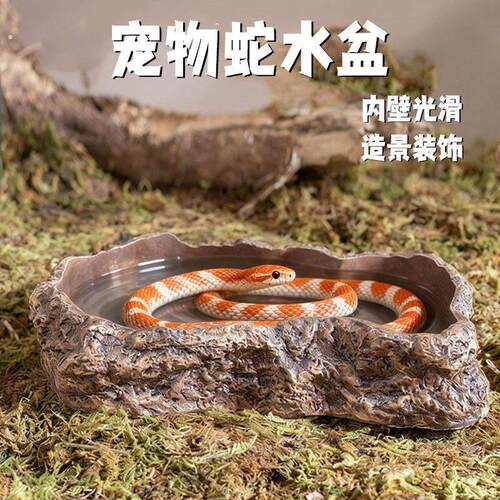 宠物蛇水盆泡澡岩石自然造景装饰玉米蛇食盆彷真猪鼻蛇创意用品