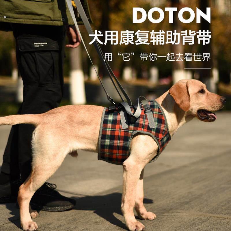 宠物狗老龄犬用康复带前腿后肢无力受伤辅助行走带上下楼牵引抱婴