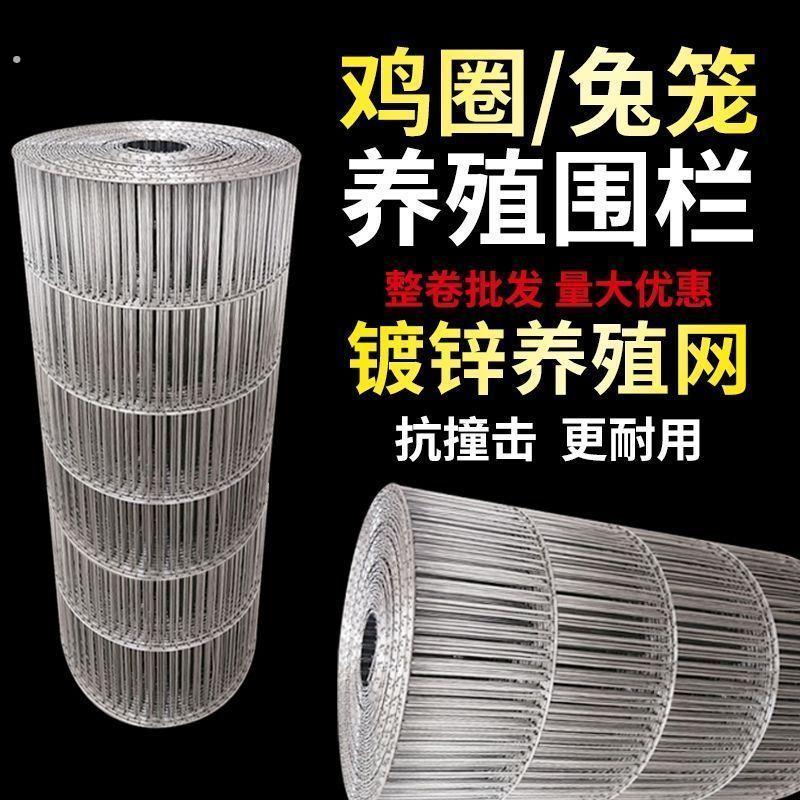 镀锌铁丝网鸟笼网长孔电焊养殖养鸡防护网格加粗钢丝鸽笼铁网家用