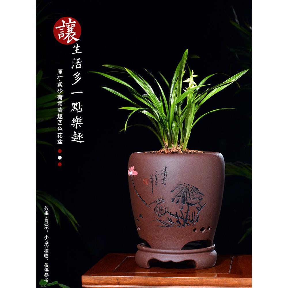 宜兴紫砂兰花花盆陶瓷龙蛋创意兰花盆兰草君子兰兰花专用盆带托盘