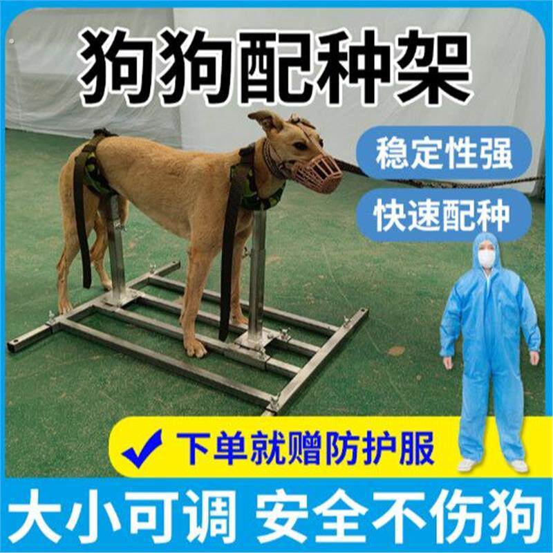 犬用配种架大中小型犬通用便携式可调节高度繁殖场特惠限时配狗架