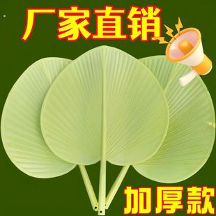 新款手摇大蒲扇加厚加大防摔坏扇子夏季扇子家用芭蕉扇子老式家用