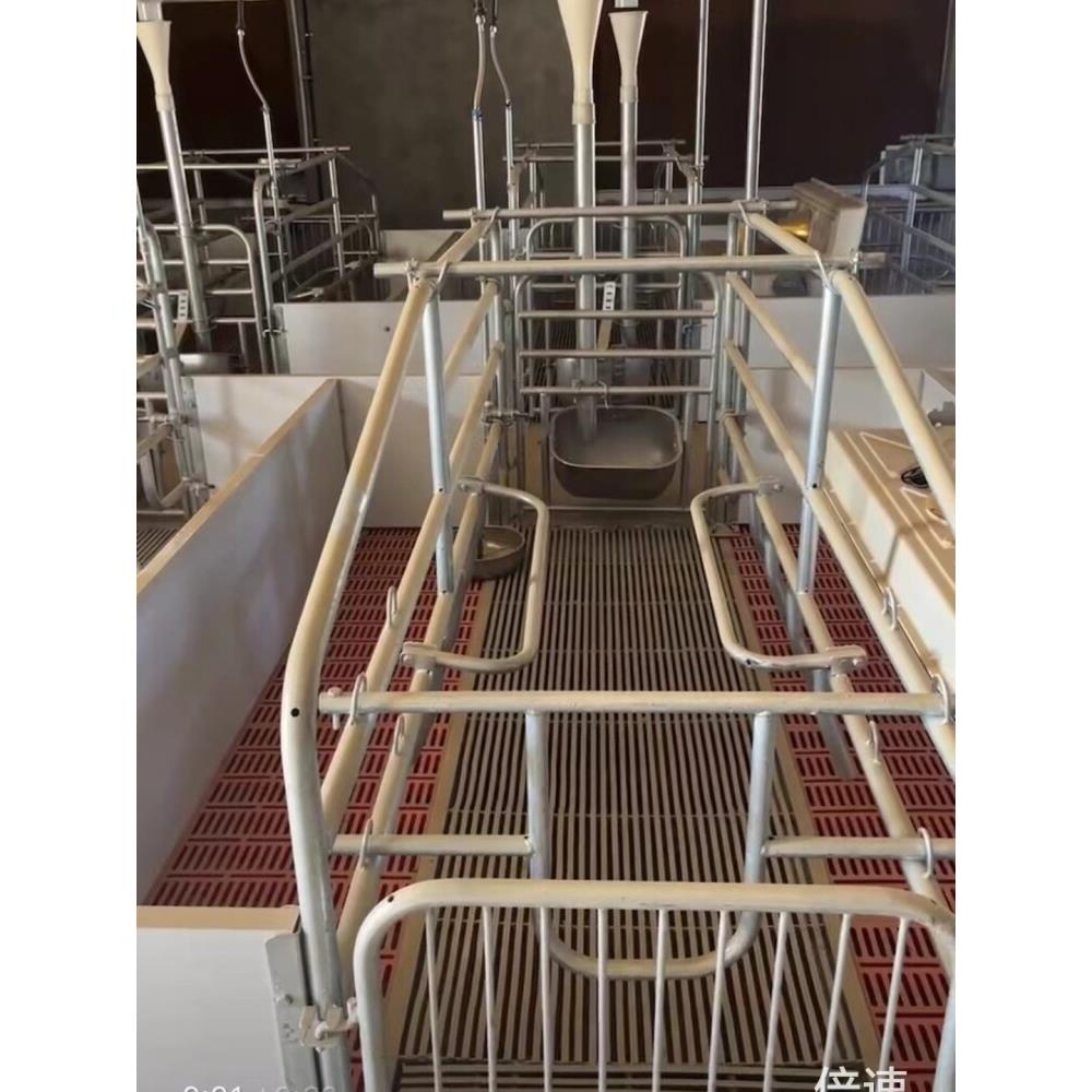 母猪产床防压栏板产床配件防压条热镀锌加厚防压杠仔猪防压杆配件