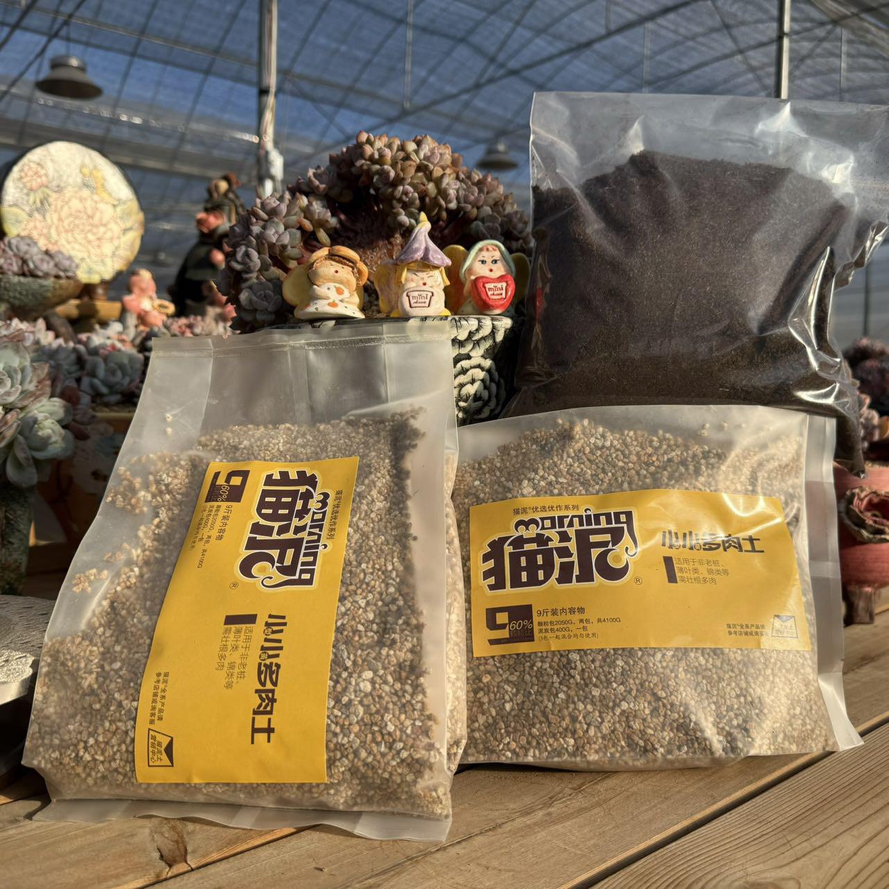 猫泥土高端生石花多肉专用营养土番杏PP控型土颗粒土小苗多肉土