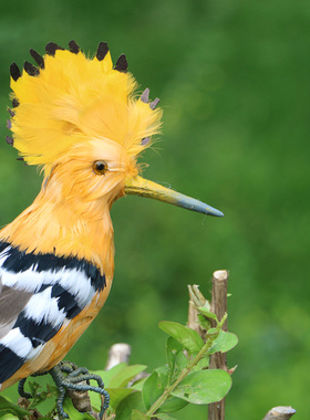 仿真小鸟羽毛小鸟戴胜鸟蓝冠噪鶥摆件园林假山装饰家居场景摆件