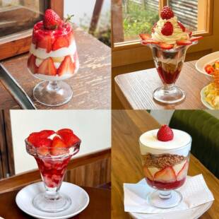 圣诞节限定玻璃草莓杯ins奶油水果巴菲杯玻璃果汁气泡杯冷饮杯