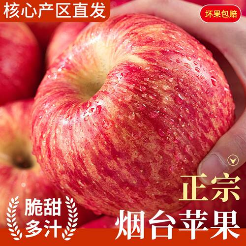 烟台苹果山东红富士脆甜80特级果