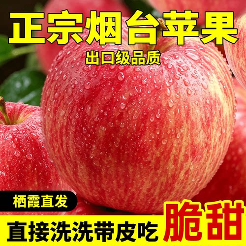 烟台苹果新鲜水果红富士脆甜8090
