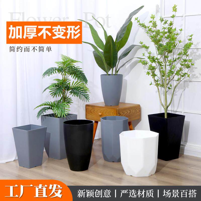 塑料花盆特大号高盆深超大号高档特天堂鸟散尾葵树脂花盆