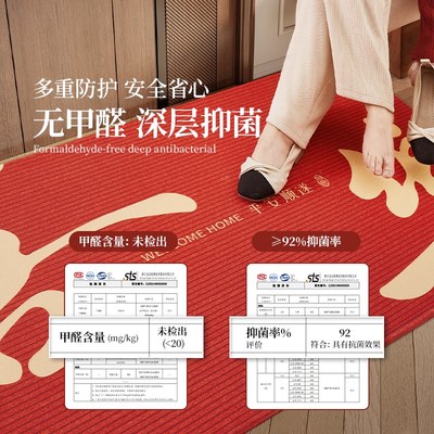 【下单立项五折】入户门地垫丹麦绒新款高级防滑垫子家用门口脚垫