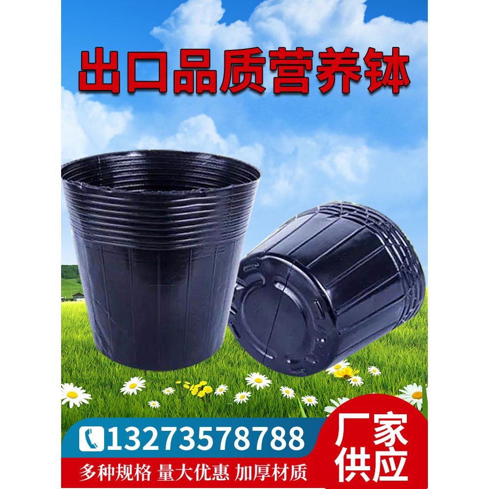 出口优质营养碗塑料育苗杯育苗袋无纺布加厚花盆塞盘育苗罐