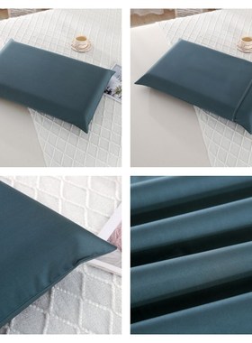 全棉100支4270零压力深睡枕用枕套四季纯棉生物基40X70记忆枕套