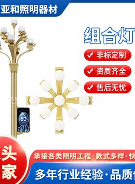 中华灯市政广场工程10米12米15米景观灯道路照明庭院led玉兰灯