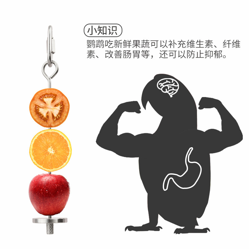 优嗖鹦鹉鸟笼配件不锈钢水果叉牡丹玄风站架水果叉鸟玩具用品鸟笼,宠物/宠物食品及用品,鸟禽其他,淘宝优惠券,粉丝福利购,淘宝优惠卷