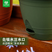 沃施worth 自浇灌花盆家庭庭院阳台桌面观叶观花多肉带蓄水槽花盆