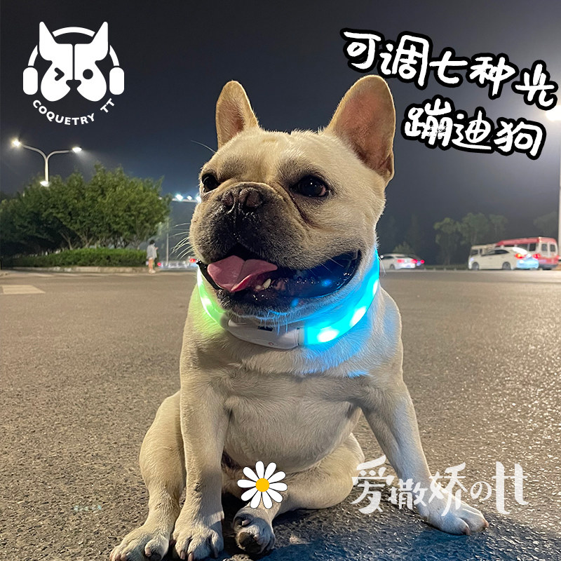 狗狗发光项圈 usb充电闪光脖圈宠物夜光防走丢颈圈泰迪夜间遛狗灯
