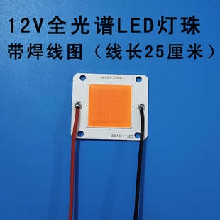 免驱动12vled灯珠超亮50w100w大功率led全光谱灯珠12v投光灯芯片