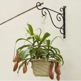 铁艺花盆花篮灯笼吊篮挂钩支架户外阳台壁挂花架悬挂绿萝吊兰花架