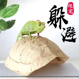 乌龟晒台仿真龟壳爬台树脂蜘蛛蜈蚣蛇甲虫守宫爬坡躲避屋鱼缸造景