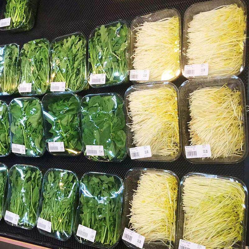 一次性塑料托盘蔬菜打包盒超市生鲜托盘水果包装盒鲜肉果蔬保鲜盒