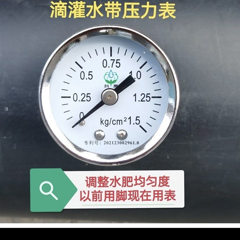 (两只装)滴灌水带压力表支管测压表滴灌压力表压力表