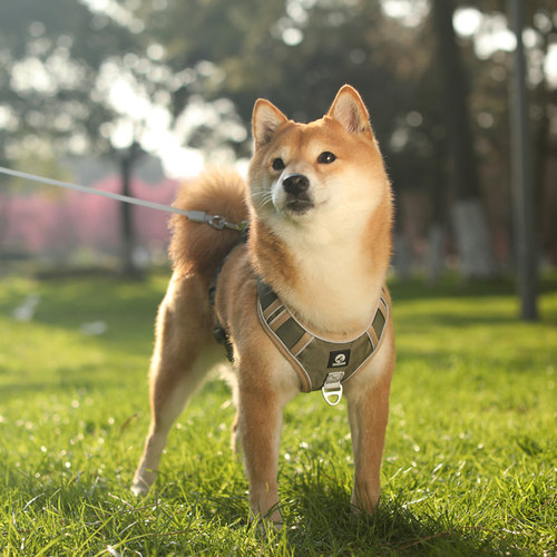 狗狗牵引绳中型大型犬胸背带背心式狗链子遛狗金毛拉布拉多狗绳子