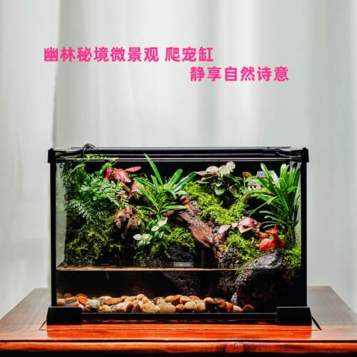送乌龟苔藓微景观造景家用饲养缸雨林生态鱼缸鱼螃蟹角蛙混养缸