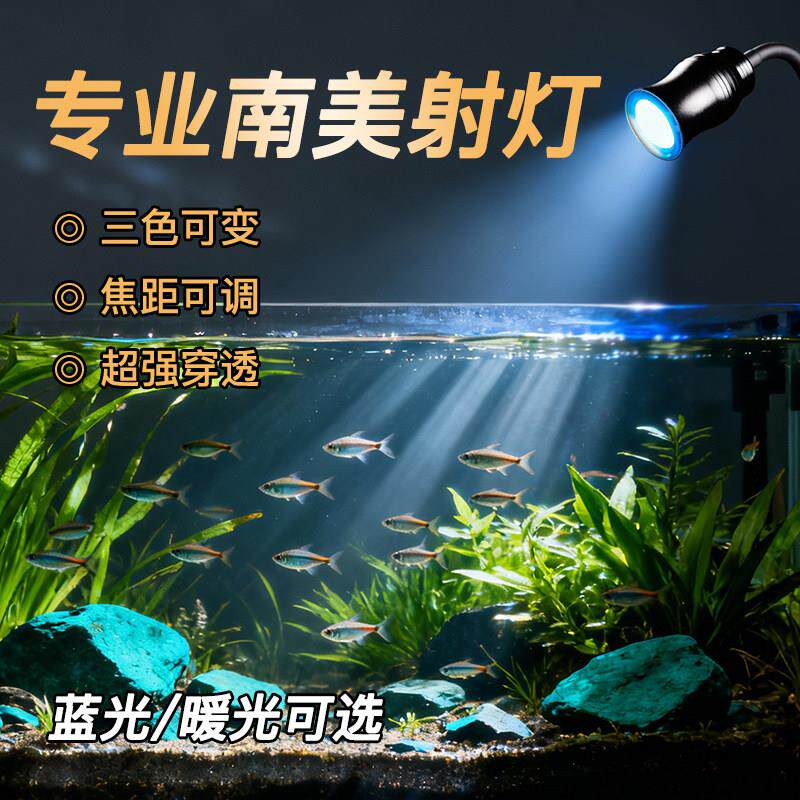 南美鱼缸灯射灯可调焦可变光专用照明迷你小型夹灯古法溪流LED灯