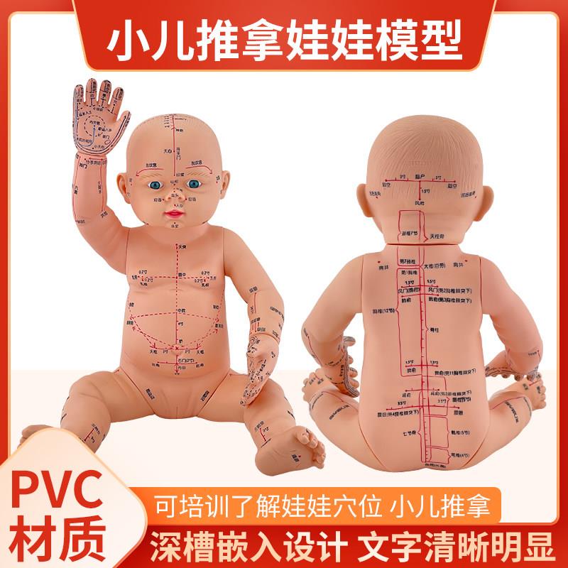 月嫂培训娃娃模型宝宝保健婴儿人体模型针灸穴位小孩推拿彷真模型