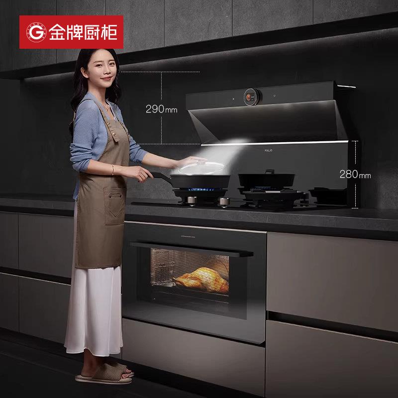 金牌厨柜厨房整体橱柜定制家用石英石台面灶台柜电一体做集成厨房