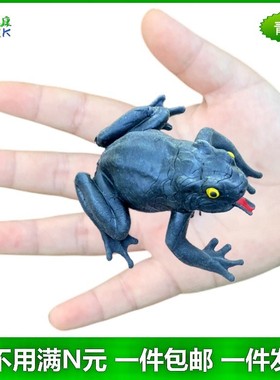 软胶仿真青蛙黑色幼儿园儿童玩具亲子亲子恶搞吓人两栖小动物模型