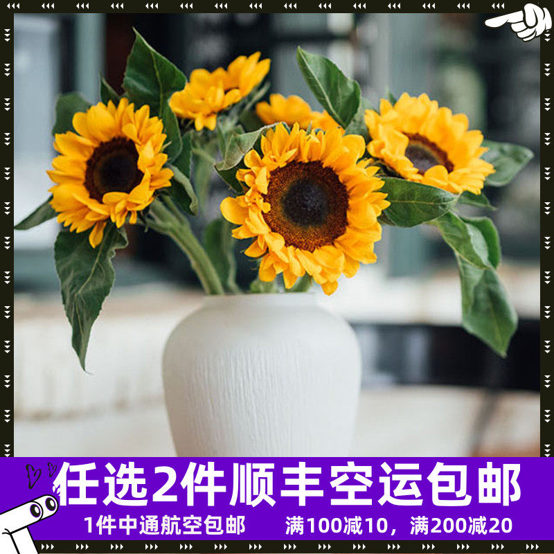 毕业向日葵真花小花束新鲜批鲜花发家用云南花卉水养昆明市场斗南