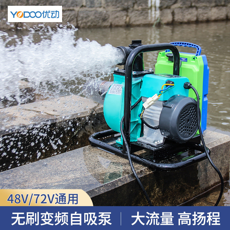 直流无刷抽水泵农用灌溉智能增压泵48V60V72电动车变频自吸潜水泵