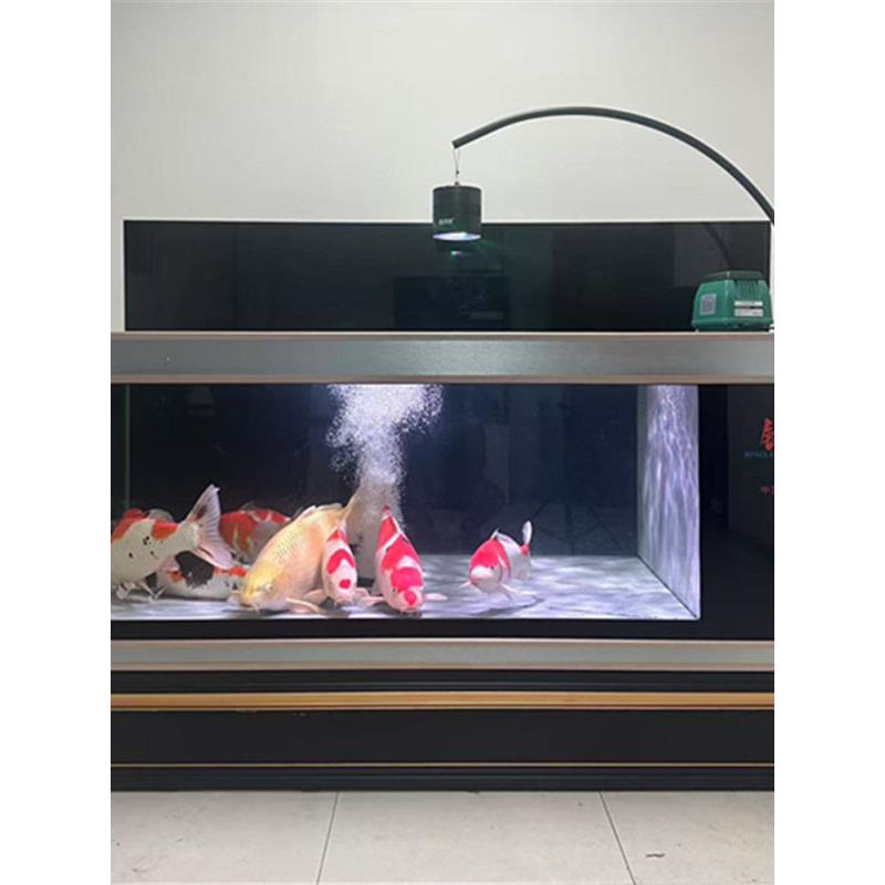 锦鲤鱼缸地板鱼缸大型超级白色金色鱼底过滤水族馆客厅办公室锦鲤