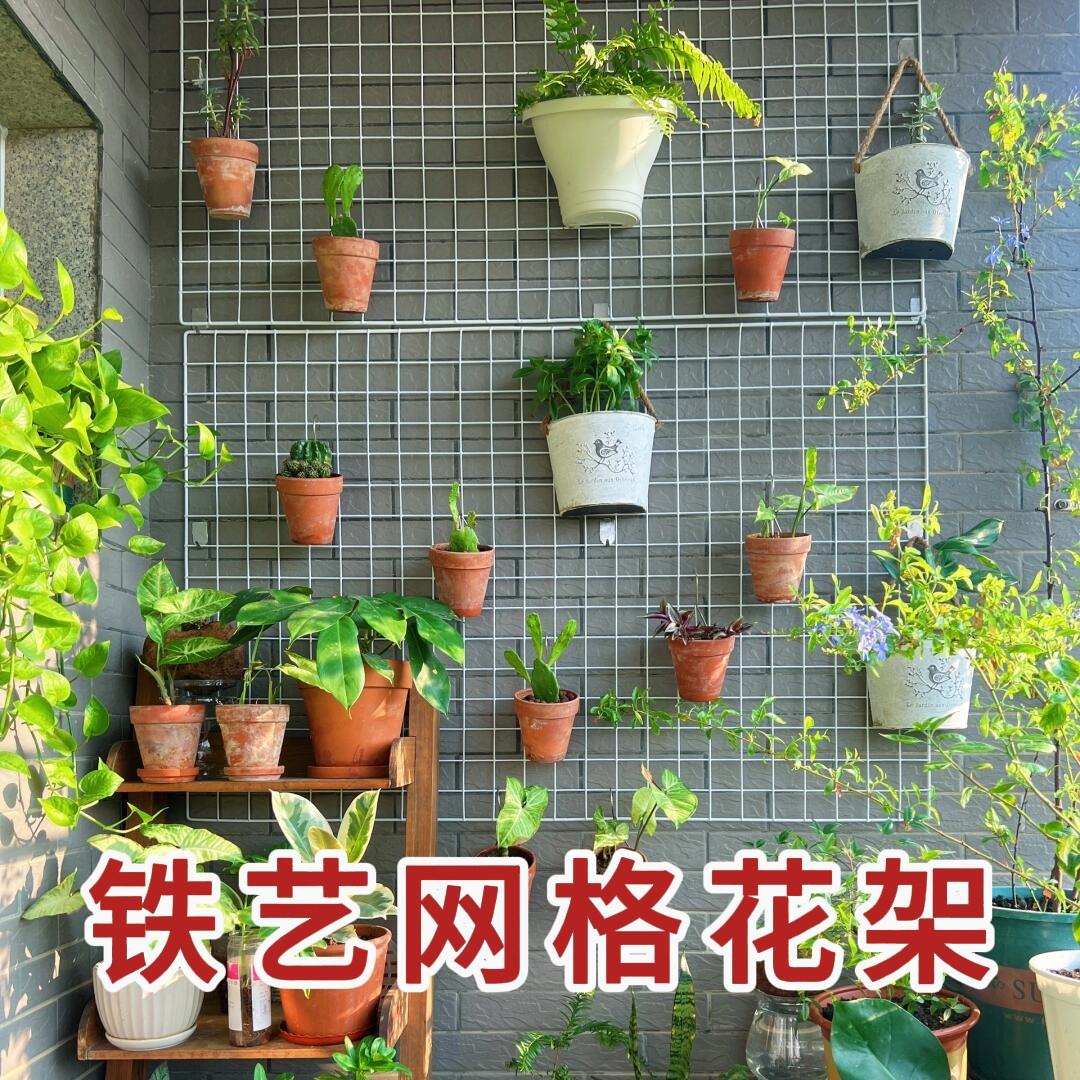 山乌龟爬藤架铁艺网支架藤蔓上墙牵引固定专用园艺花爬架室内阳台