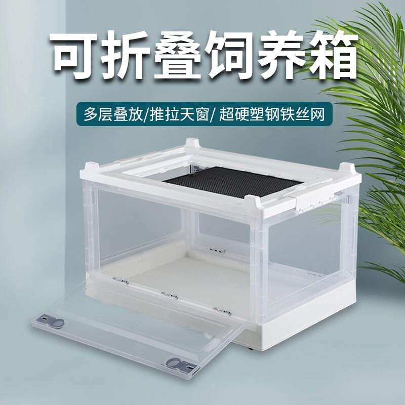 带透气孔仓鼠笼子金丝熊芦丁鸡饲养箱盒花枝鼠刺猬饲养箱可折叠