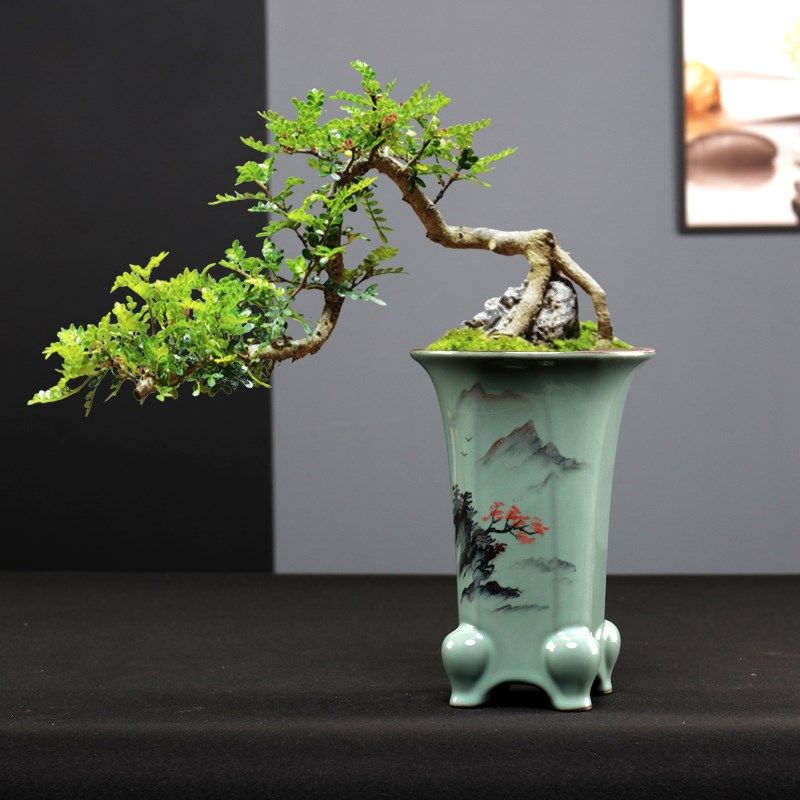 哥窑手绘紫砂兰花专用盆高款冰裂飘枝吊兰六月雪紫檀绿植陶瓷花盆,鲜花速递/花卉仿真/绿植园艺,花盆,淘宝优惠券,粉丝福利购,淘宝优惠卷