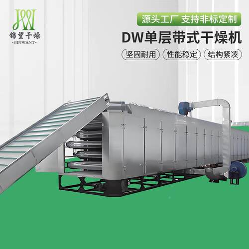 源机头厂魔供应 DW单层带式干燥家 芋生姜片RTJ脱水烘干设备品质