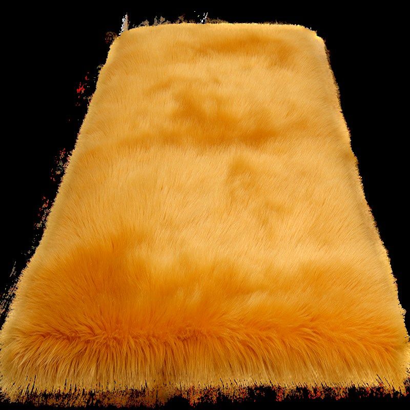 北欧风长毛绒地毯床边毯撸猫感卧室客厅毛毛公主风衣帽间白色定制,居家布艺,地毯,淘宝优惠券,粉丝福利购,淘宝优惠卷