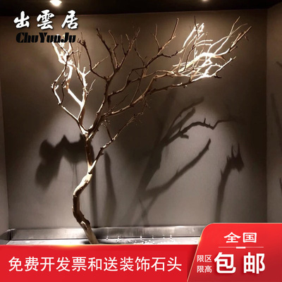 干树枝造景干枝树干许愿树枯树室内庭院造型树枝干原木树枝装饰树