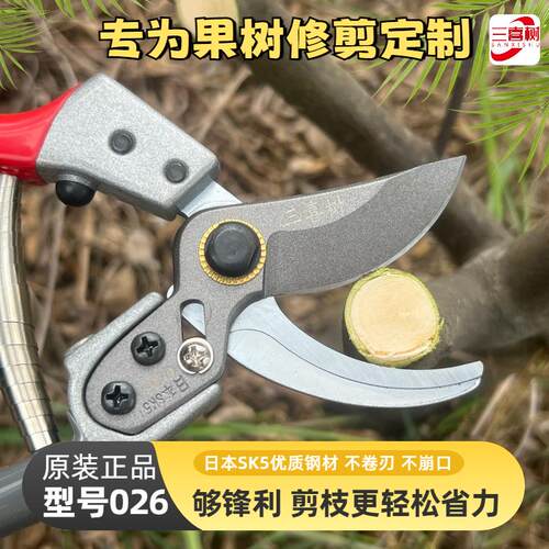 三喜树026剪刀修枝剪果树果园专用强力粗枝剪园艺工具盆栽剪子