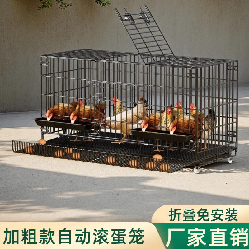 加粗款鸡笼大号小号加密多层室内外鸡自动出蛋家禽农村鸡窝养殖笼