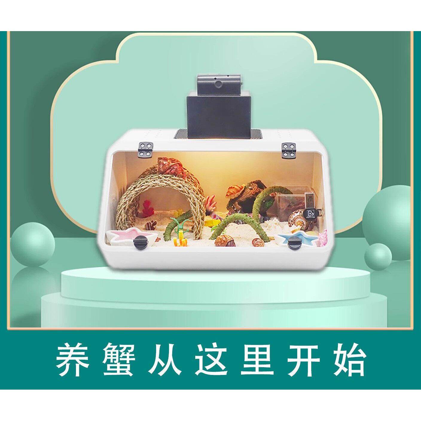 寄居蟹套装新手饲养爬宠造景展示缸乌龟缸活体宠物观赏蟹懒人宠物