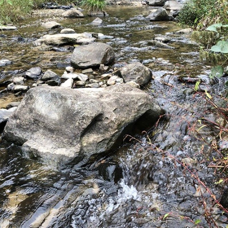 天然原生底沙砂鱼缸造景装饰溪流造景/装饰