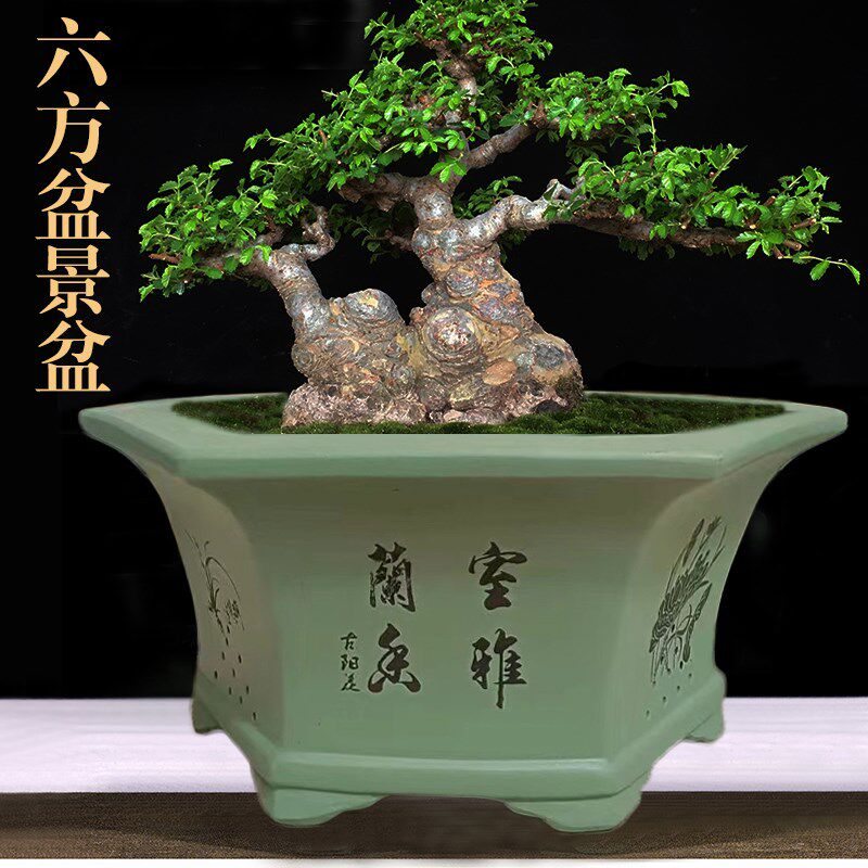 紫砂花盆榕树老桩陶瓷盆景盆大口径六方行花盆特大号六角透气盆栽