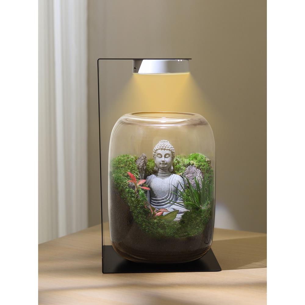 苔藓微景观生态瓶造景植物桌面小摆件悟空玻璃森林生态雨林养鱼缸